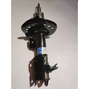 Nunc congue dui nec...