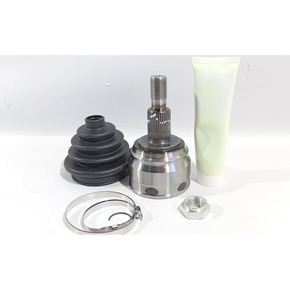 Nunc congue dui nec...