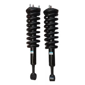 Nunc congue dui nec...