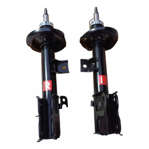 Nunc congue dui nec...