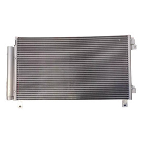 Nunc congue dui nec...