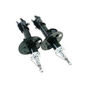 Nunc congue dui nec...