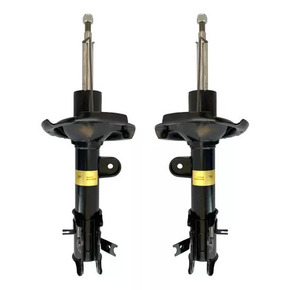 Nunc congue dui nec...