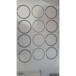 Nunc congue dui nec...