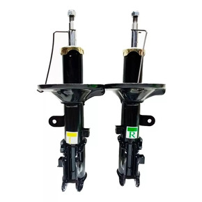 Nunc congue dui nec...