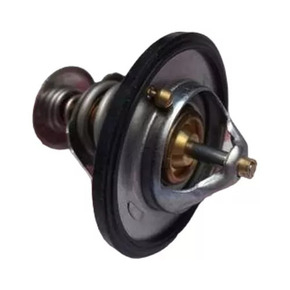 CX70 1.6 / TERMOSTATO