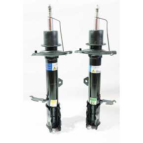 Nunc congue dui nec...