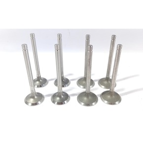 Nunc congue dui nec...