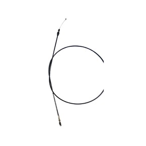 Nunc congue dui nec...