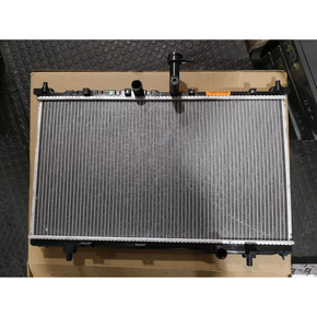 Nunc congue dui nec...