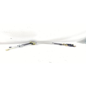 Nunc congue dui nec...