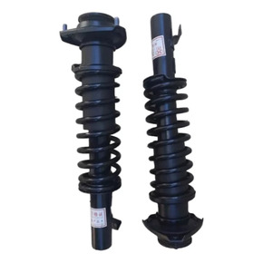 Nunc congue dui nec...