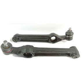 Nunc congue dui nec...