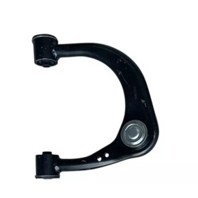 Nunc congue dui nec...