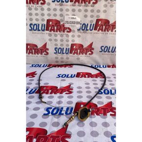 Nunc congue dui nec...