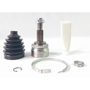 Nunc congue dui nec...