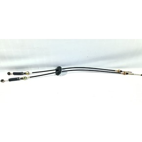 Nunc congue dui nec...