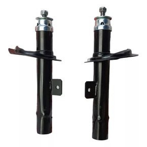 Nunc congue dui nec...