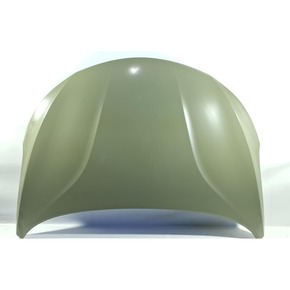 Nunc congue dui nec...