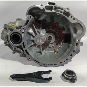 Nunc congue dui nec...