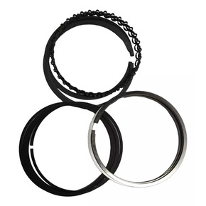 Nunc congue dui nec...