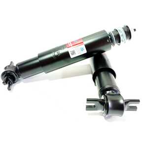 Nunc congue dui nec...