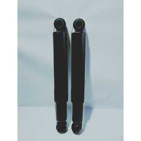 Nunc congue dui nec...