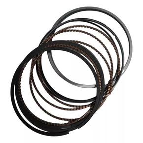 Nunc congue dui nec...