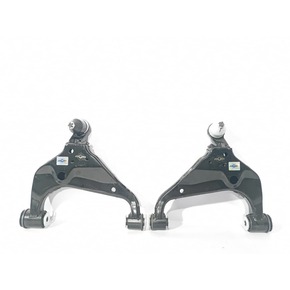 Nunc congue dui nec...