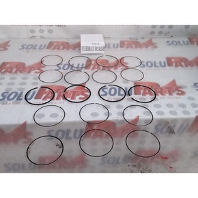 Nunc congue dui nec...