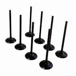 Nunc congue dui nec...