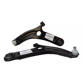 Nunc congue dui nec...