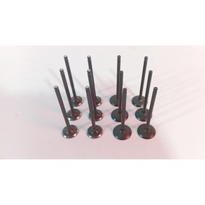 Nunc congue dui nec...