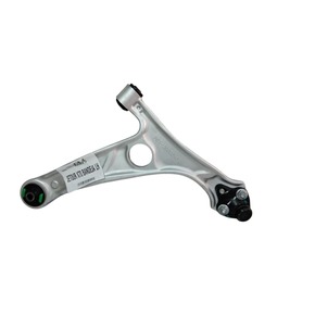 Nunc congue dui nec...