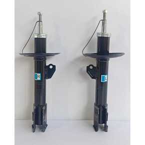 Nunc congue dui nec...