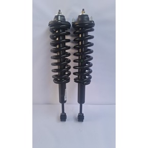 Nunc congue dui nec...