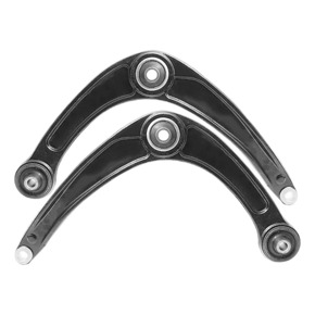 Nunc congue dui nec...