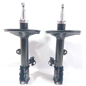 Nunc congue dui nec...