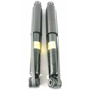 Nunc congue dui nec...