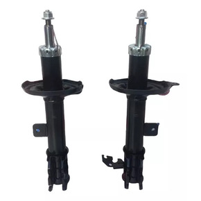 Nunc congue dui nec...