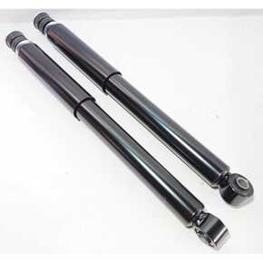 Nunc congue dui nec...