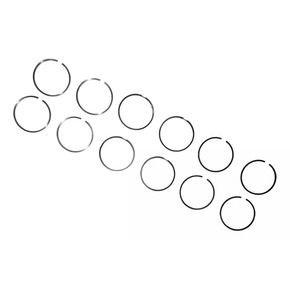 Nunc congue dui nec...