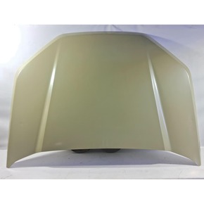 Nunc congue dui nec...