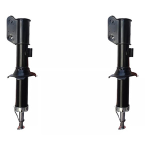 Nunc congue dui nec...