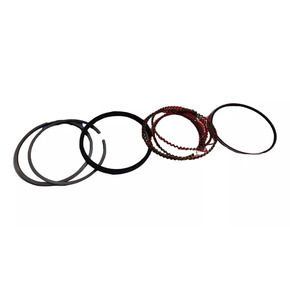 Nunc congue dui nec...