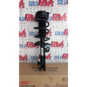 Nunc congue dui nec...