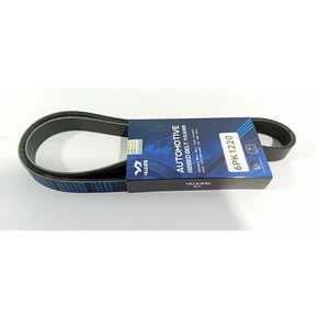 Nunc congue dui nec...