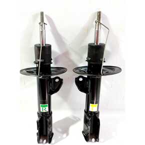 Nunc congue dui nec...