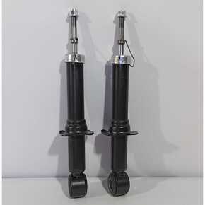 Nunc congue dui nec...