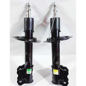 Nunc congue dui nec...